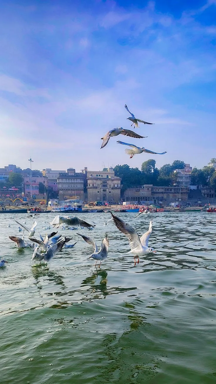 Yamuna view